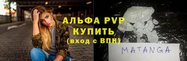 прущие грибы Иннополис