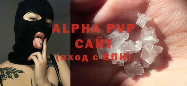 прущие грибы Иннополис