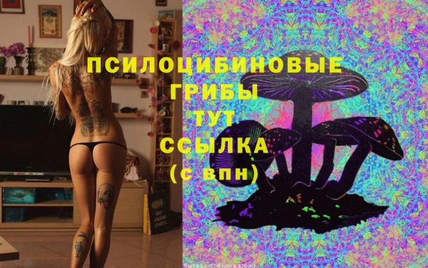 Альфа ПВП Зеленодольск