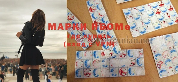 дживик Зерноград