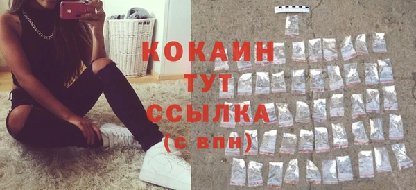 прущие грибы Иннополис