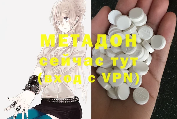 прущие грибы Иннополис