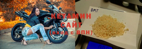 прущие грибы Иннополис