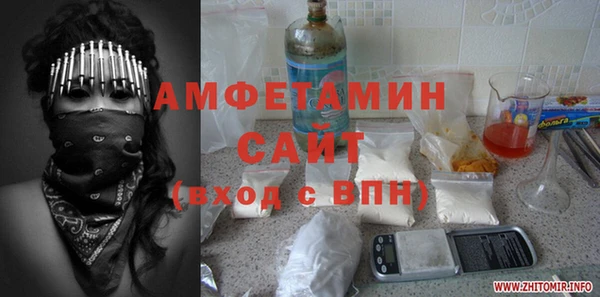 прущие грибы Иннополис