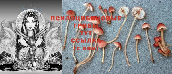 СК Инсар