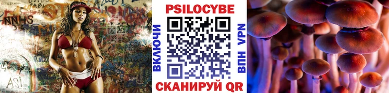 где можно купить   Керчь  mega рабочий сайт  Псилоцибиновые грибы Psilocybine cubensis 