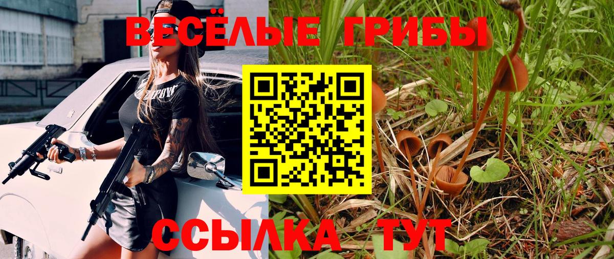 Галлюциногенные грибы GOLDEN TEACHER Керчь