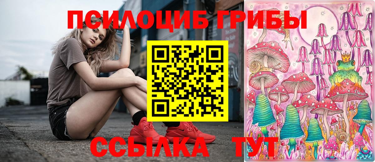 где продают   Вход с VPN  Керчь  Псилоцибиновые грибы ЛСД 