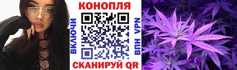 Бошки Шишки ГИДРОПОН  Керчь 